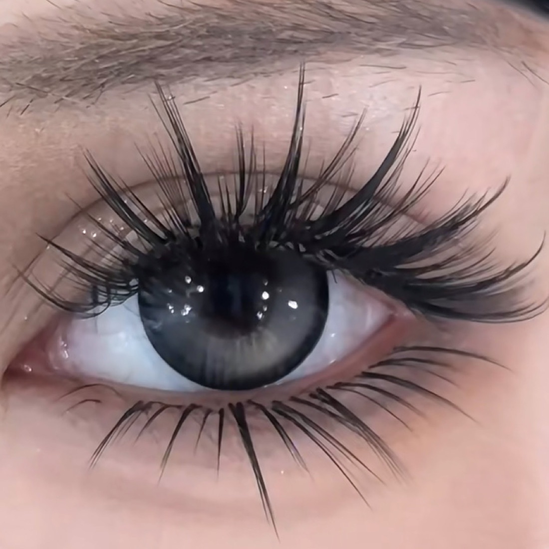 Anime lash set close-up