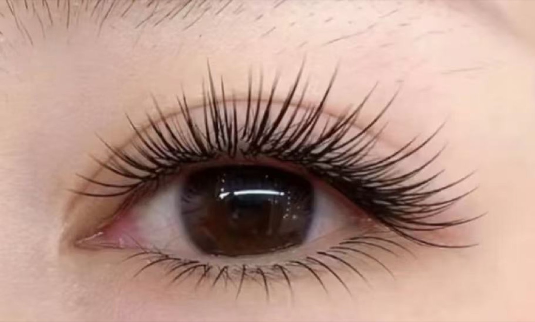 Classic lash extensions close-up
